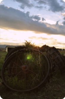 Wagon Wheels In The Fields